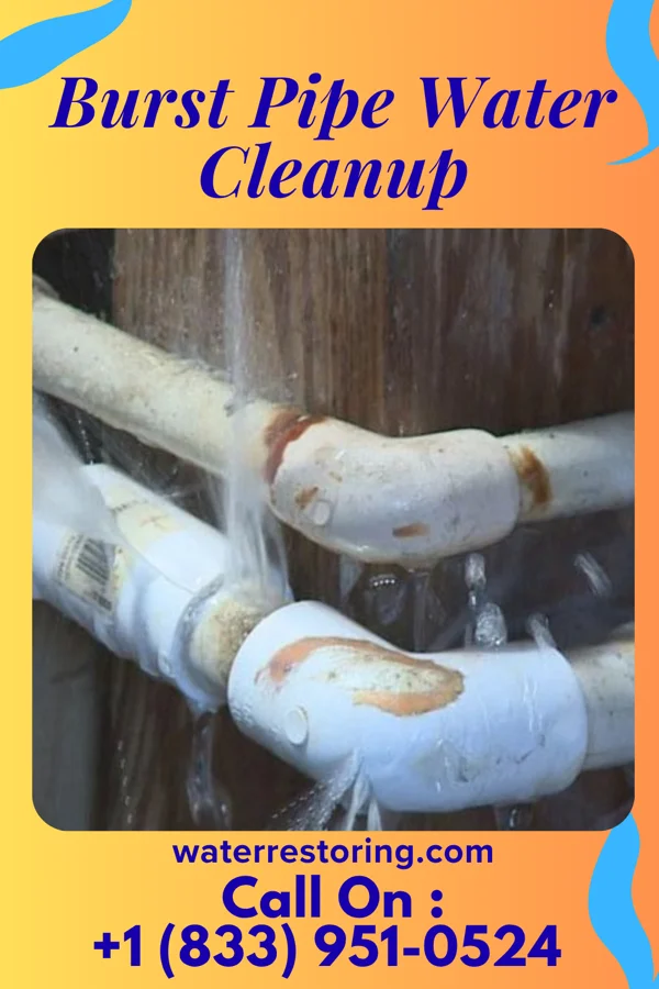 Burst Pipe Water Cleanup in Hobart, IN