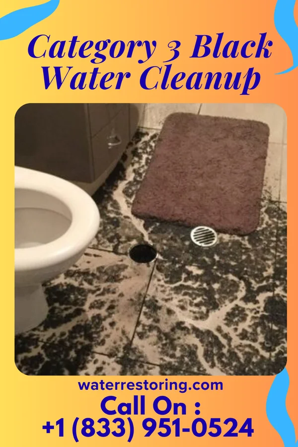 Category 3 Black Water Cleanup in Hobart, IN