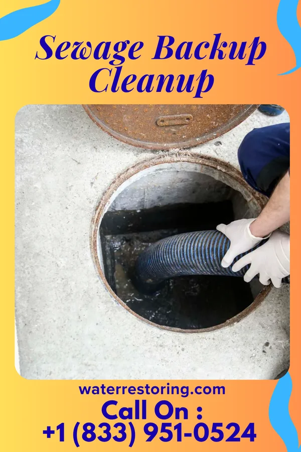 Sewage Backup Cleanup in Hobart, IN